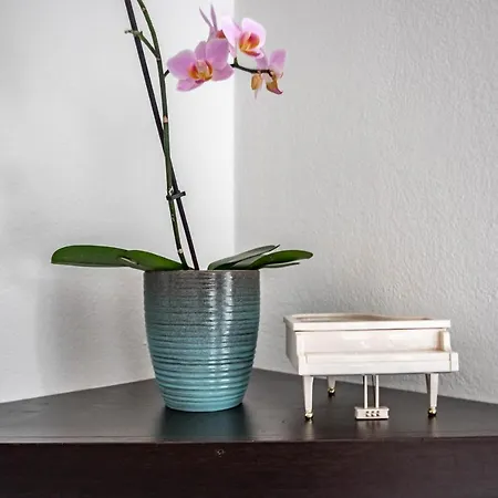 דירה Sladic בטינה