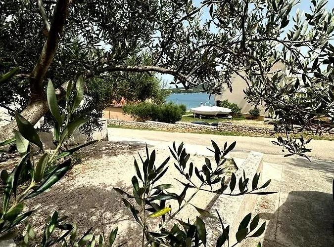 Sladic Betina (Sibenik-Knin)